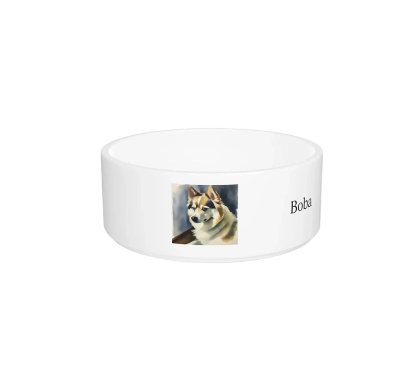 Pet Bowls